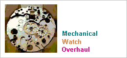 Watch Overhaul